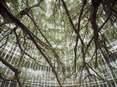 Hope Square | Archea Associati